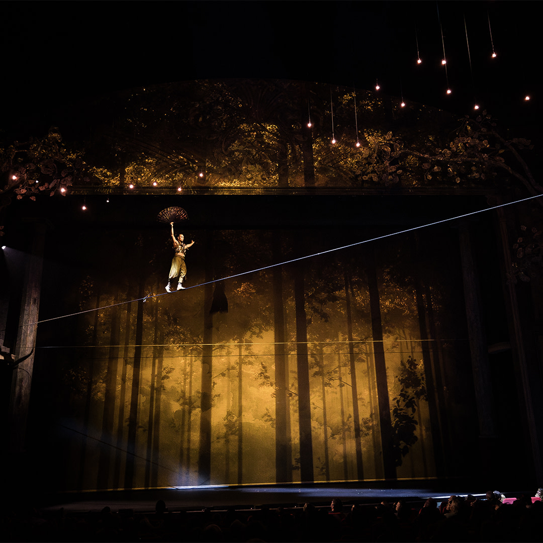 Projetor Epson Cirque du Soleil