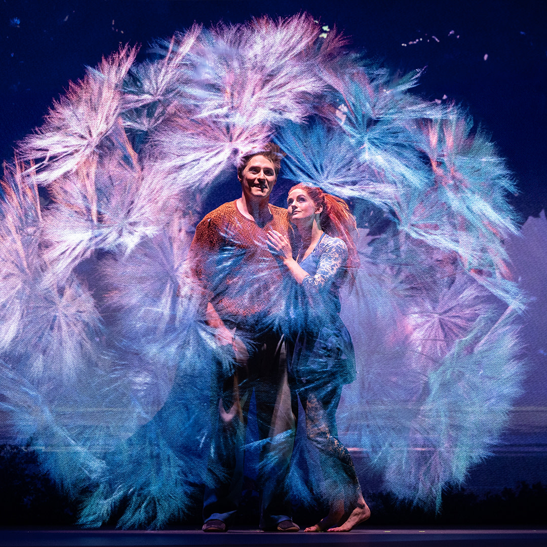 Projetor Epson Cirque du Soleil