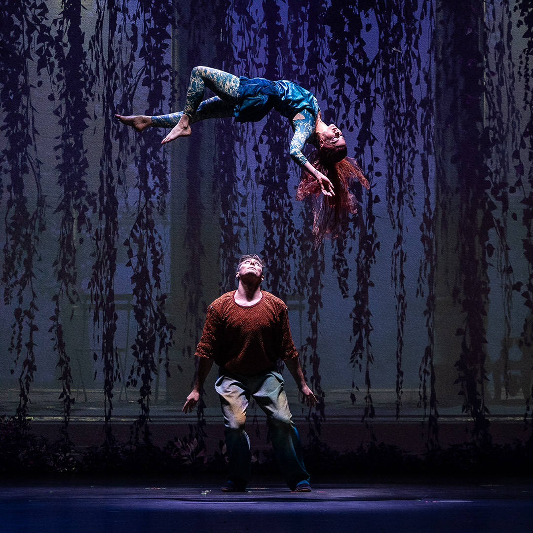 Projetor Epson Cirque du Soleil