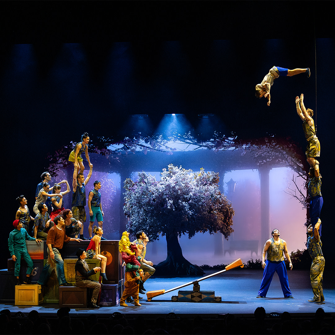 Projetor Epson Cirque du Soleil